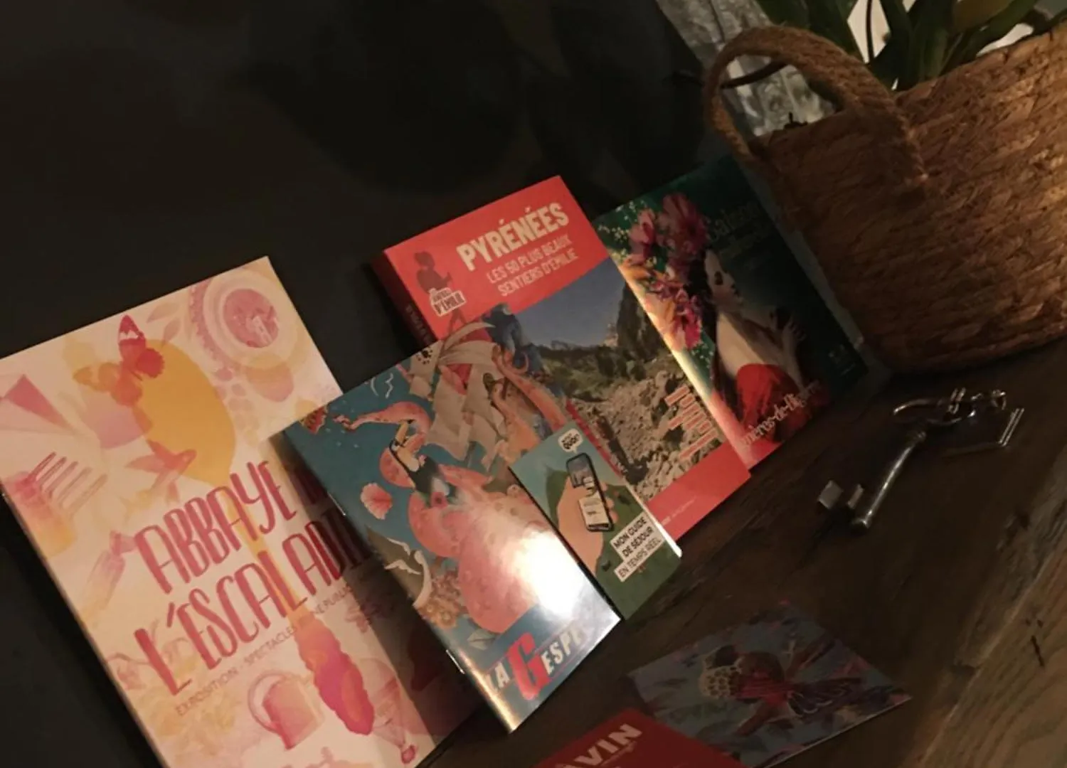 Apartamento «Coeur De Vie » Logement Hyper Centre De Bagneres De Bigorre Francia